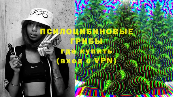 шишки Балахна