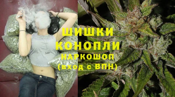 шишки Балахна