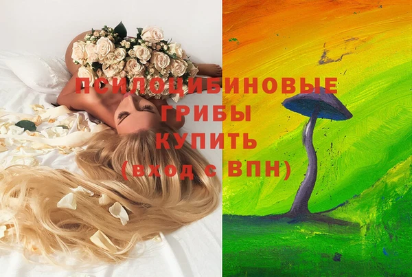 шишки Балахна