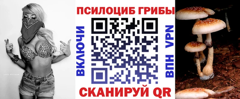 Псилоцибиновые грибы мицелий  цена   Николаевск 